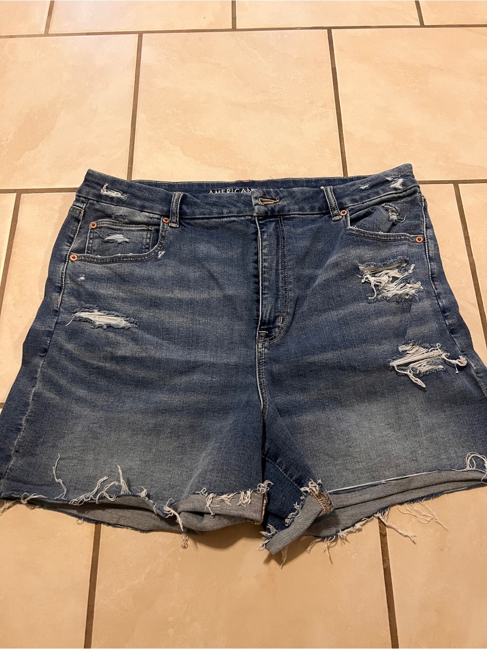 American Eagle Outfitters Distressed Denim Curvy Shorts